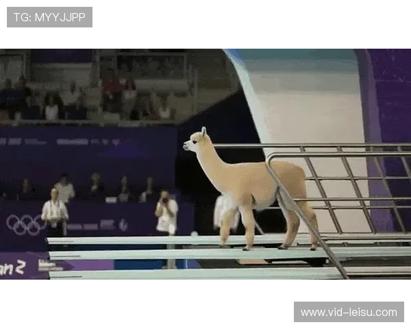 AI辅助训练系统在多支国家队应用，从跳水到举重覆盖更多项目